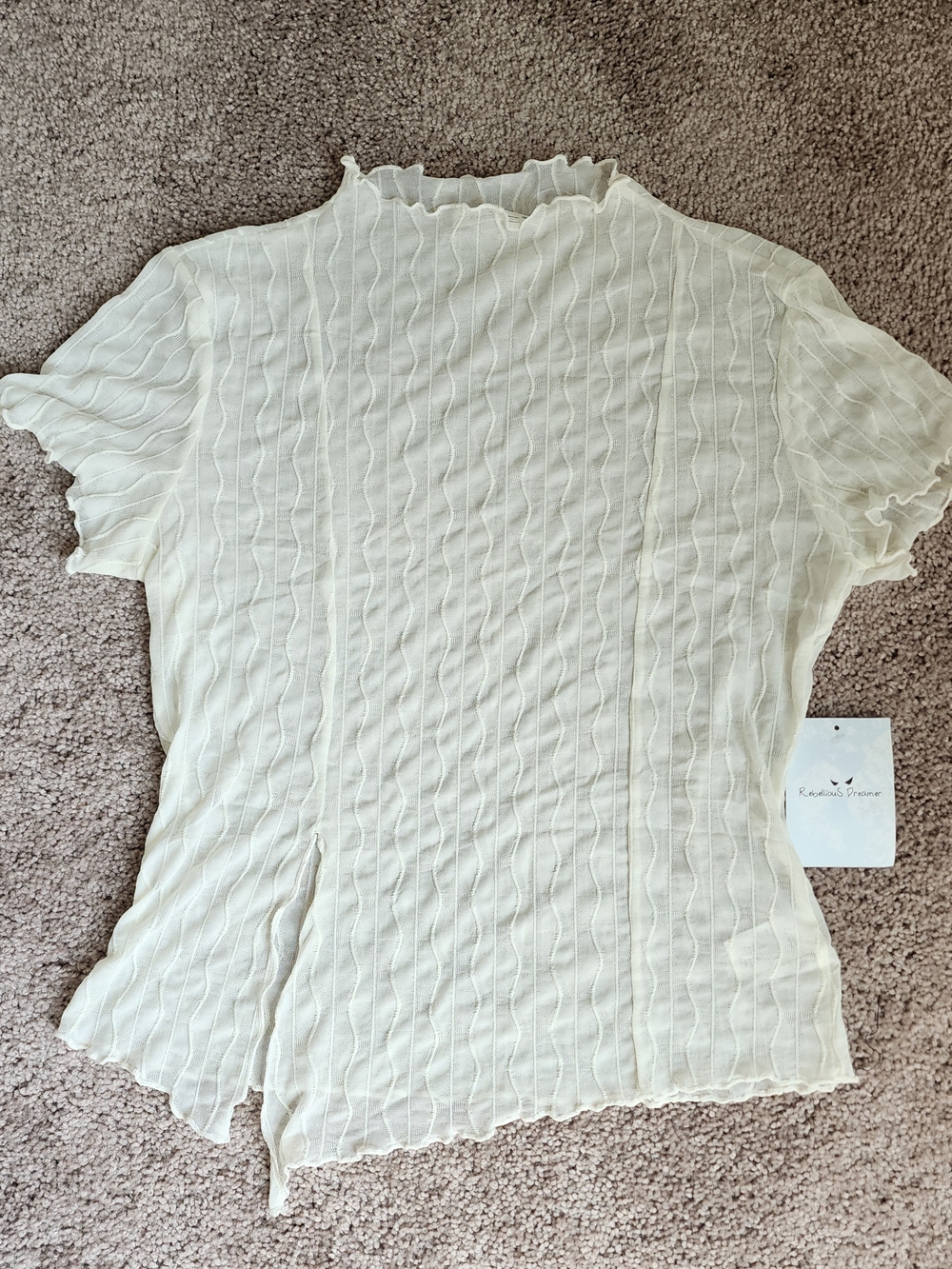 Smi Sheer Ruffle Neck Top